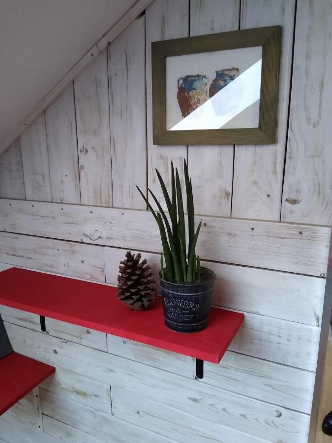 Apartamenty Zielona Gora Eksteriør billede